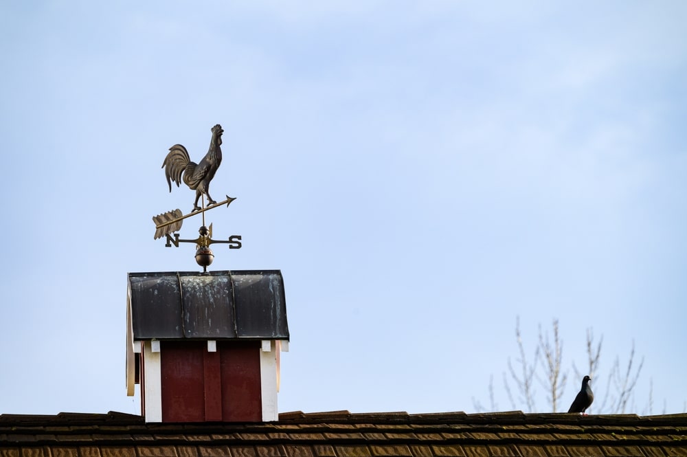 Weathervane for Your Home-min