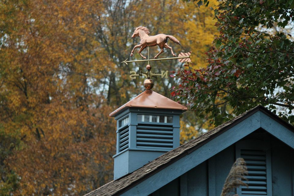 Painted & Stained Cupolas - Image 6